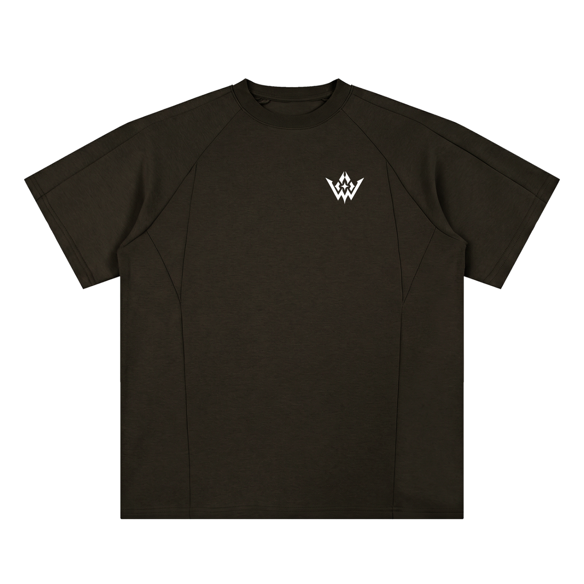 Unisex Oversized Paneled Raglan T-Shirt